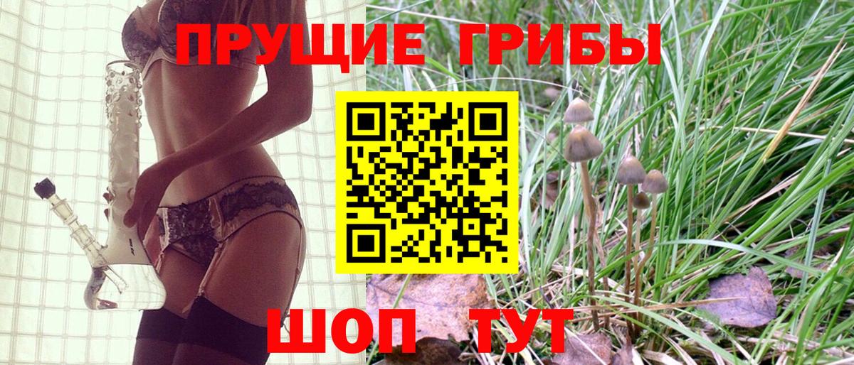 Кировск  Псилоцибиновые грибы Psilocybe  Вход с VPN  Галлюциногенные грибы мухоморы 